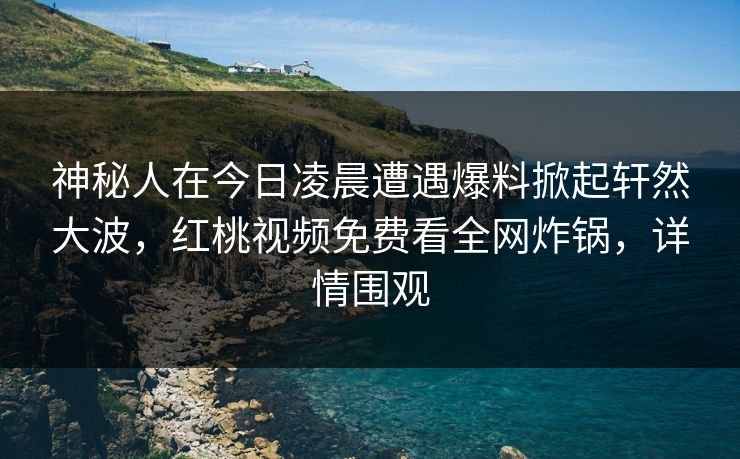 神秘人在今日凌晨遭遇爆料掀起轩然大波，红桃视频免费看全网炸锅，详情围观