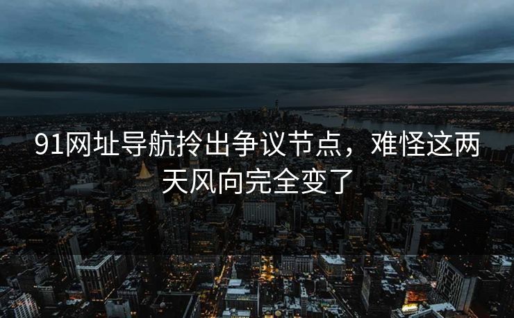 91网址导航拎出争议节点，难怪这两天风向完全变了